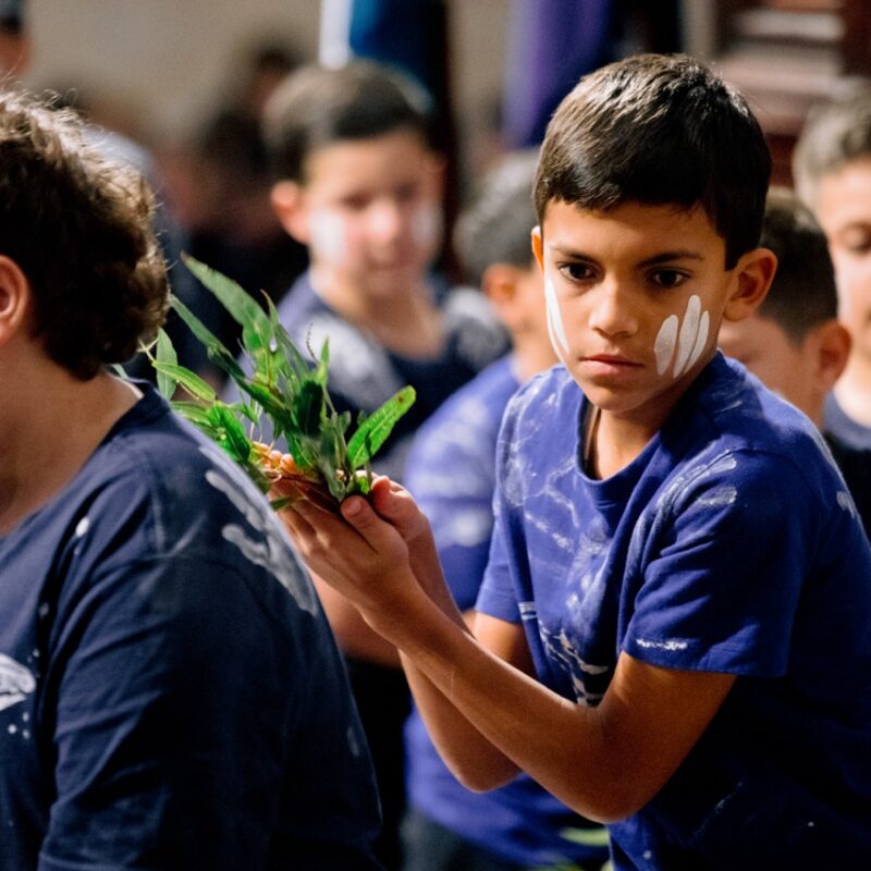 How Gawura School and St Andrew’s Cathedral School fit together